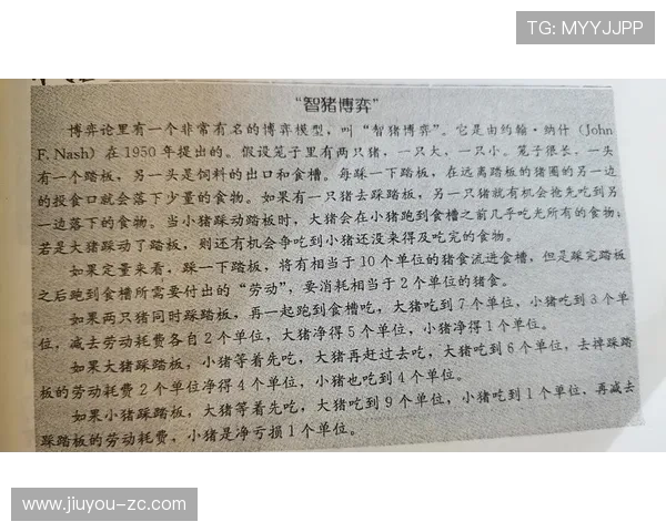博弈博：策略与智慧的精彩较量