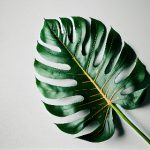 CNN在线直播电视:全天候全球新闻实时放送 056q504