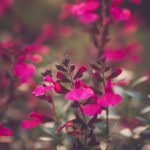 金马平台用户体验优化:提升观众满意度的关键措施 4o1n0q4