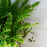 金都国际注册网站的完整解析与实务操作指南 714cf