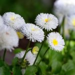 CNTV5在线直播观看高清流畅体育赛事 lv3nvibmw