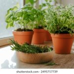 CTY直播间精彩瞬间回顾与深度解析 ta119f7ht